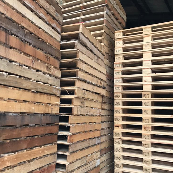Re-conditioned Pallets